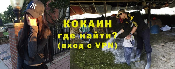 молекула духа Тайга