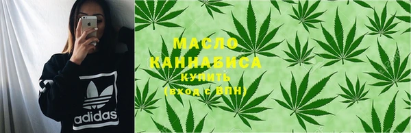 мдпв Тобольск