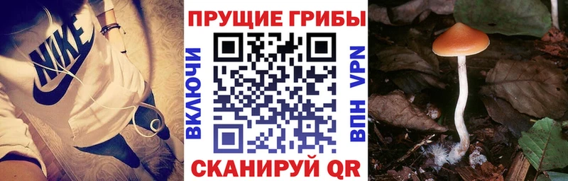как найти наркотики  Усолье  маркетплейс состав  Галлюциногенные грибы MAGIC MUSHROOMS 